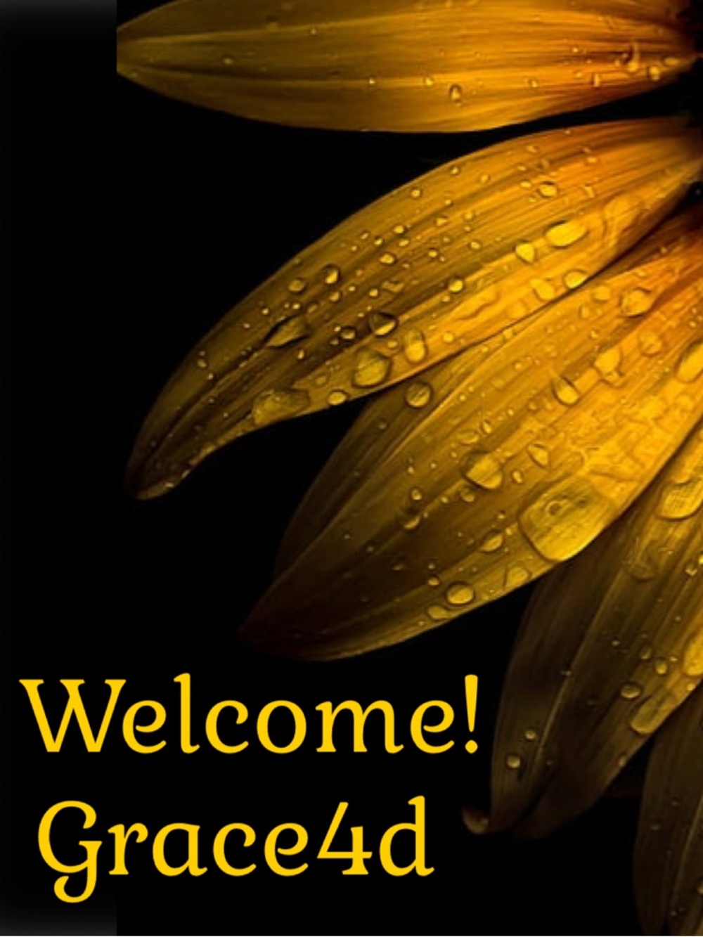 Welcome 2 my place!🌻🌻🌻
